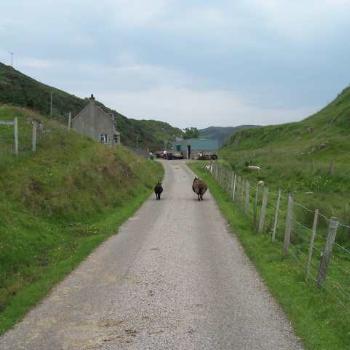 <b>Share the road - Skerray Harbour </b>