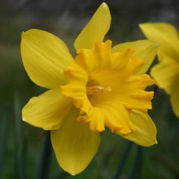 <b>spring is around the corner</b>