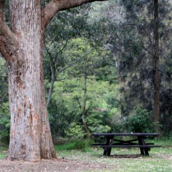 <b>9688 picnic table, Lane Cove National Park, West Chatswood, NSW, 1st Sept'09, Kate/Sydney</b> <b>9688 picnic table, Lane Cove National Park, West Chatswood, NSW, 1st Sept'09, Kate/Sydney</b>