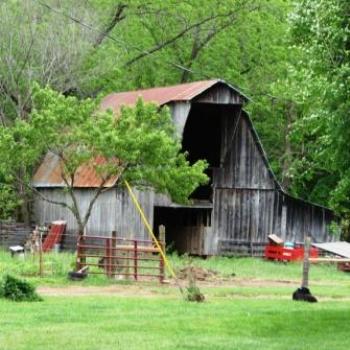 <b>Old Barn in Ozark Mountains of Arkansas by Wilodene of Utah </b>