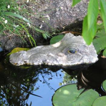 <b>1822 crocodile, Wagga Wagga, NSW, 24th Dec'08 Kate/Sydney</b>