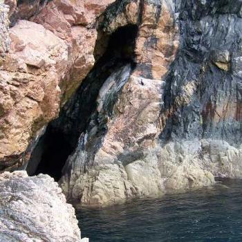 <b>Scotland- Birds in safe haven in rock crevice.</b>