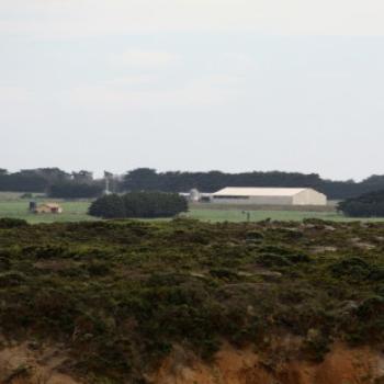 <b>7121 dairy, GORd, Vic, 28th Oct'09, Kate/Sydney</b>