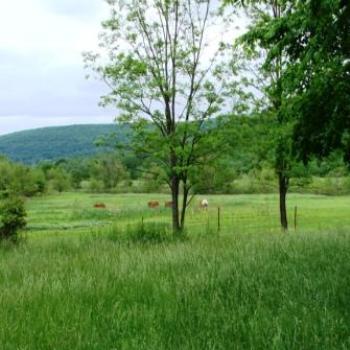 <b>Pasture Land in Ozark Mountains of Arkansas by Wilodene of Utah </b> <b>Pasture Land in Ozark Mountains of Arkansas by Wilodene of Utah </b>