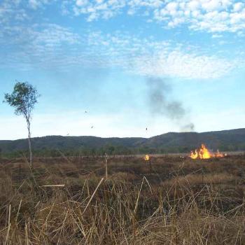 <b>Dry Season Burn - Daly River NT</b>
