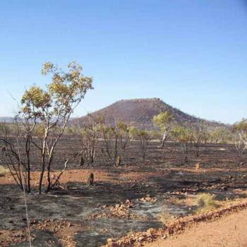 <b>dry season burnoff - Buchanan Hwy NT</b>