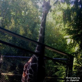 <b>Here's Looking at You!</b>