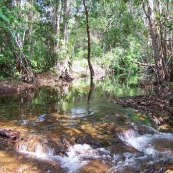 <b>Croc free pool in Litchfield Park NT (well we hoped so</b>