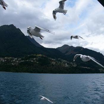 <b>Follow that ship, Queenstown NZ</b>