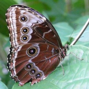 <b>Photo by Glenn from Winter Springs</b>