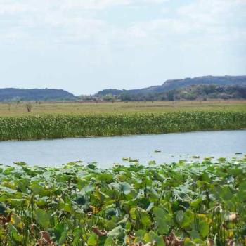 <b>Spot the croc! Arnhem Land NT</b>