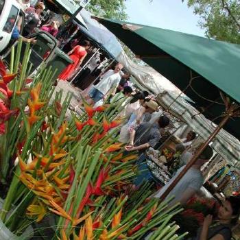 <b>Parap Market by Wakka</b>