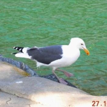 <b>One small step</b>