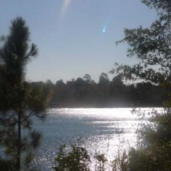 <b>Florida Panhandle Bay</b>