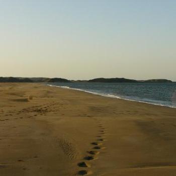 <b>Footprints in the sand, Settlers Beach, Wickham</b>