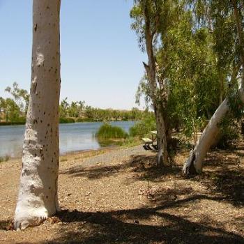 <b>What better place for a picnic</b>