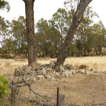 <b>What better place to rest (Albany)</b>