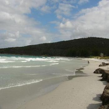 <b>Walk on the beach, Albany</b>