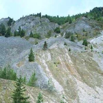<b>pines on scree - Columbia River gorge, Oregon, USA</b>