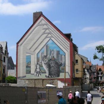 <b>Feline life in Frankfurt!!</b>