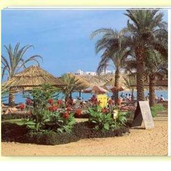 <b>Sharm El Sheikh Beach (Red Sea)Egypt</b>