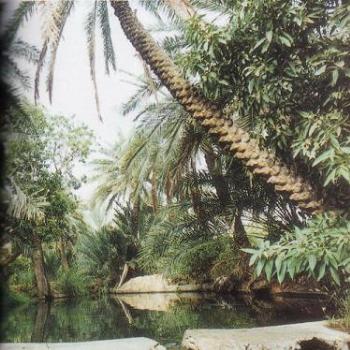 <b>Beautiful nature of Oman</b>