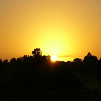<b>Sunrise in Albany</b>