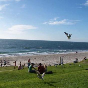 <b>Fish and chips on the edge of the Indian Ocean - Cottesloe WA.</b> <b>Fish and chips on the edge of the Indian Ocean - Cottesloe WA.</b>