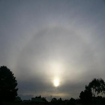 <b>Halo around the sun in Albany</b>