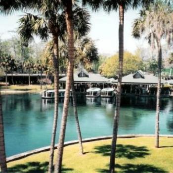 <b>Silver Springs FL</b>