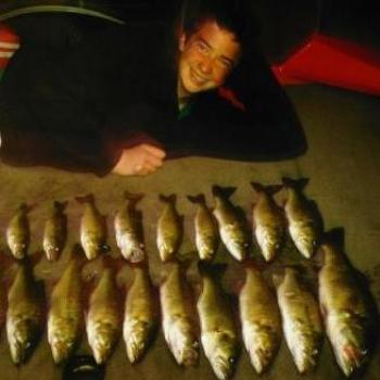 <b>bunch of bass</b>