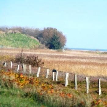 <b>The Isle of Sylt, Sue/OK</b>