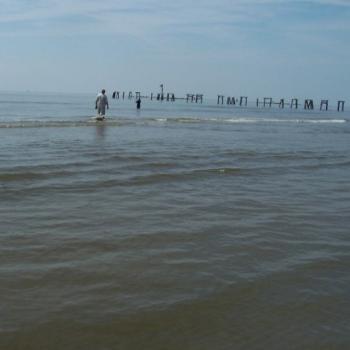 <b>Bob and Murphy, Grand Isle, LA</b>