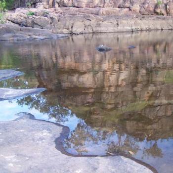 <b>Kakadu - full of hidden treasures. Taking it in. </b>