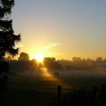 <b>Another misty sunrise in Albany</b>