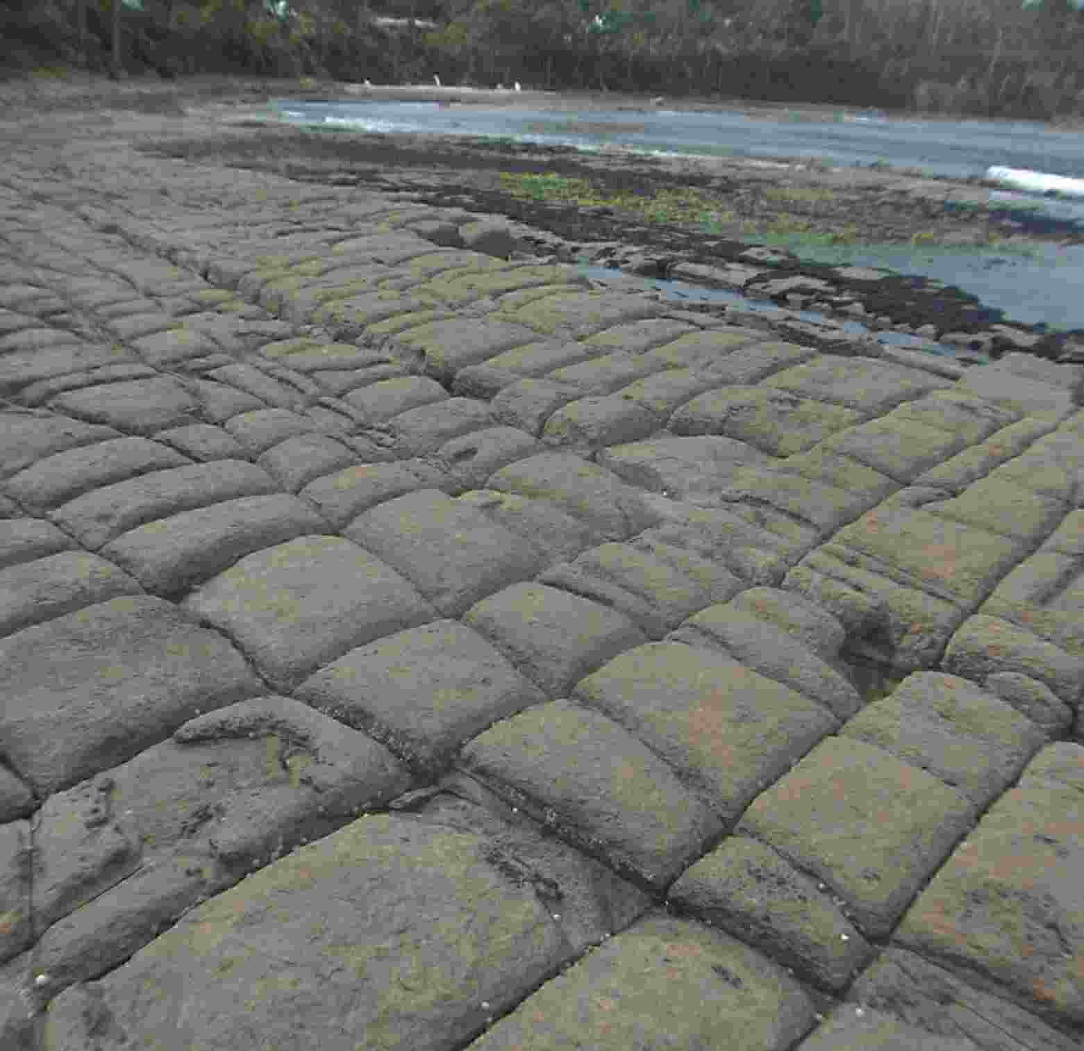 <b>Was SuDuKu founded on the Tessalated beach in Tasmania?</b>