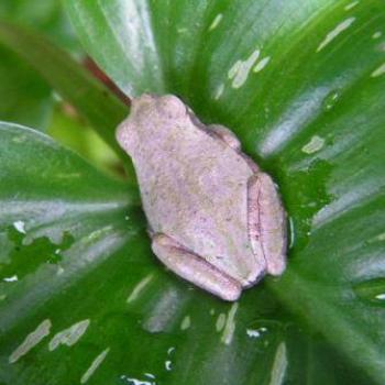 <b>You can't see me - I'm hiding</b>