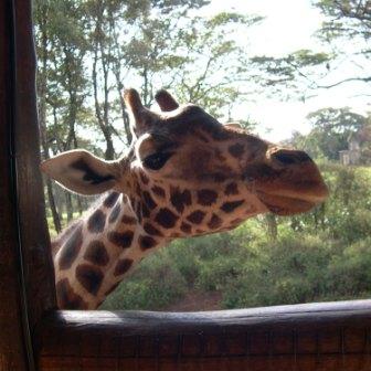 <b>Taken in Kenya, 2004</b>