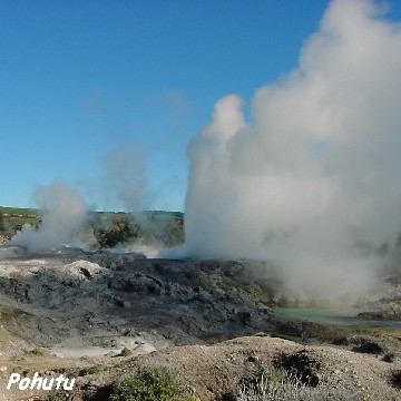 <b>Rotorua's most famous geyser</b>