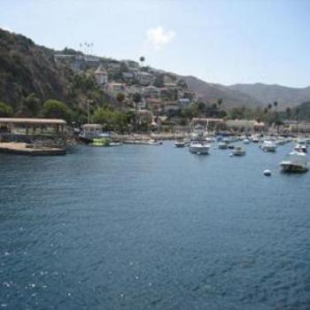 <b>Welcome to Catalina Island.</b>