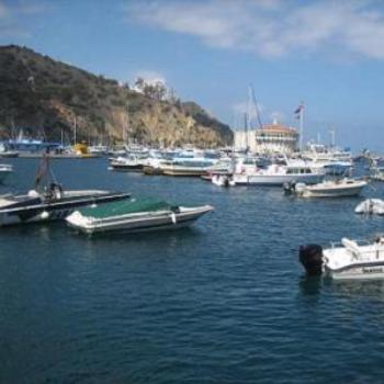 <b>Boats in Catalina Island.</b>