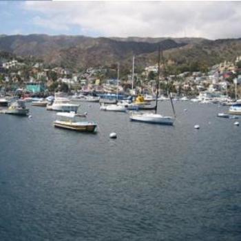 <b>Boats in Catalina Island.</b>