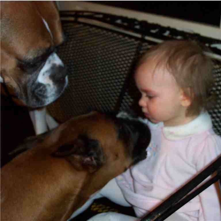 <b>Dogs Giving Ashley Violet Kisses</b>