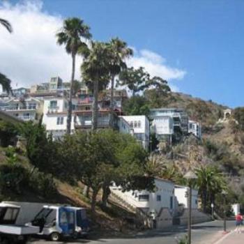 <b>Homes of Catalina Island.</b>