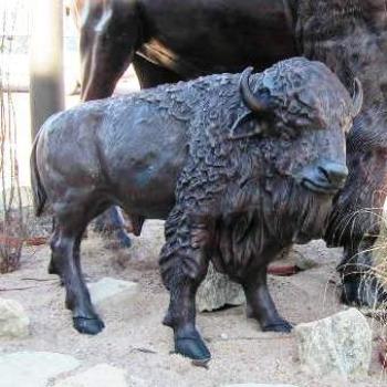 <b>Bronze Sculptured Buffalo, Ponca City Olahoma Sue/OK</b>