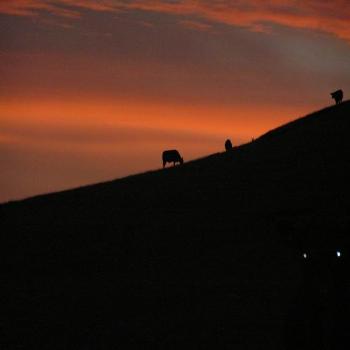 <b>sunset [eaa]</b>