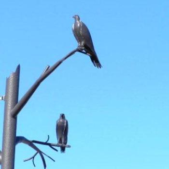 <b>Metal Birds in the Park of Chief Standing Bear, Ponca City Olahoma Sue/OK</b> <b>Metal Birds in the Park of Chief Standing Bear, Ponca City Olahoma Sue/OK</b>