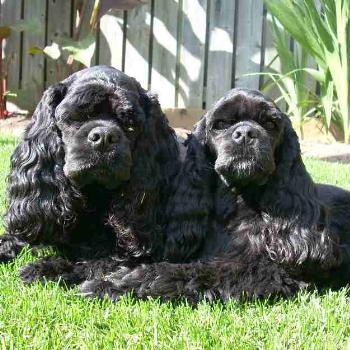 <b>Abby&Murphy</b>