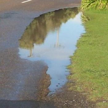 <b>puddle</b>