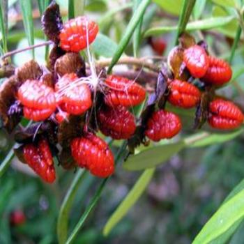 <b>Very seedy. [eaa]</b>